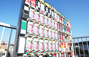 素材へのこだわり
